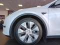 Tesla Model Y Long Range AWD Dual Motor POWER POINT INCLUSA White - thumbnail 5
