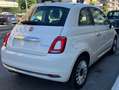 Fiat 500 1.0 HYBRID DOLCE VITA PANORAMA CAR PLAY PDC bijela - thumbnail 6