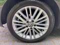 Volkswagen Golf Cabriolet Golf Cabrio 1.2 TSI Cup - thumbnail 4