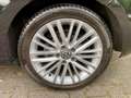 Volkswagen Golf Cabriolet Golf Cabrio 1.2 TSI Cup - thumbnail 6