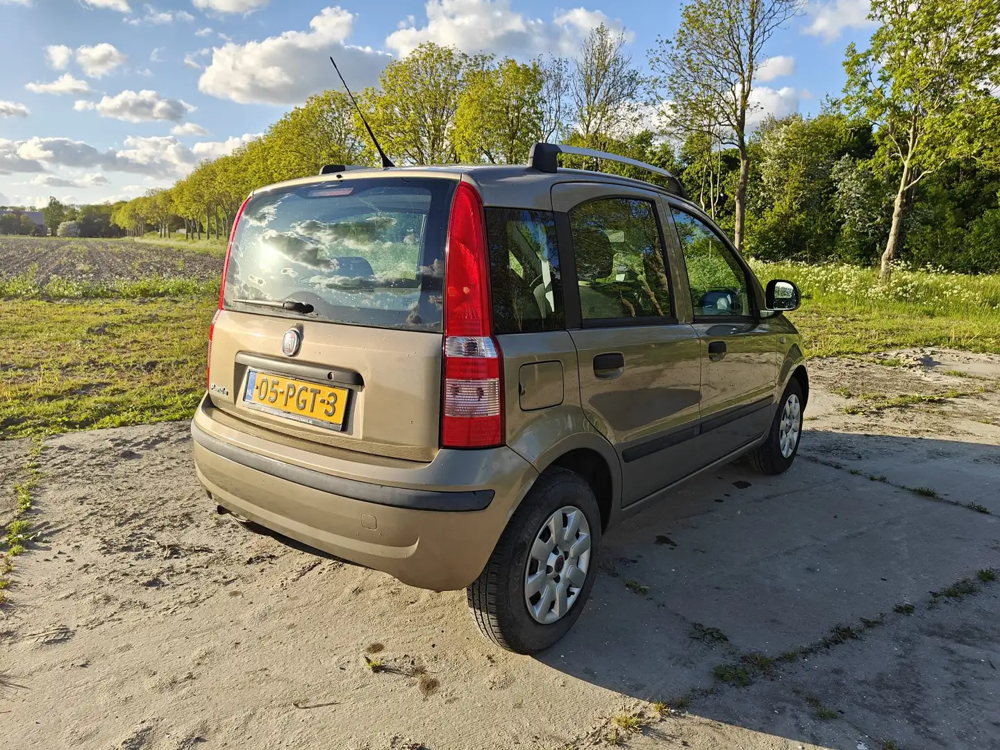 Fiat Panda Panda 1.2 Edizione Cool Beige - 2