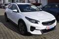 Kia XCeed Platinum Edition Plug-in Hybrid Wit - thumbnail 3