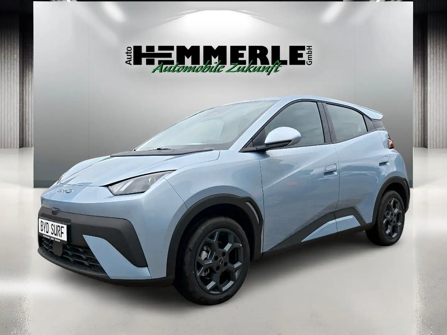BYD Dolphin SURF Boost*Kamera* BLACK FRIDAY - PREIS Blau - 1