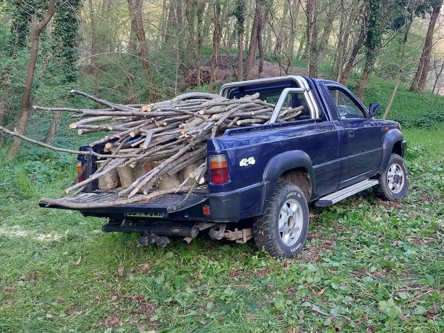 Tata Telcoline 2.0 TDI 4x4 Blau - 1