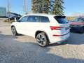 Skoda Kodiaq L&K TDi DSG 4x4 CarPlay/ACC/LED/Virt/PDC Weiß - thumbnail 5