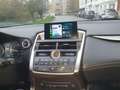 Lexus NX 300h NX 300h 2.5i AWD Executive Line E-CVT Zwart - thumbnail 17
