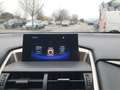 Lexus NX 300h NX 300h 2.5i AWD Executive Line E-CVT Zwart - thumbnail 11