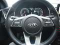 Kia XCeed Platinum Edition Leder 204 PS 54000KM SHZ Noir - thumbnail 10
