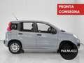 Fiat Panda Panda 1.2 Easy - thumbnail 5