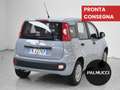 Fiat Panda Panda 1.2 Easy - thumbnail 4
