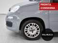 Fiat Panda Panda 1.2 Easy - thumbnail 6