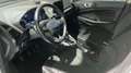 Ford EcoSport 1.0 EcoBoost 100 CV Titanium Bianco - thumbnail 13