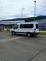 Ford Transit Bus Ford Transit custom Trend Rollsthultransporter - thumbnail 3