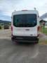 Ford Transit Bus Ford Transit custom Trend Rollsthultransporter - thumbnail 4