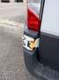 Ford Transit Bus Ford Transit custom Trend Rollsthultransporter - thumbnail 20