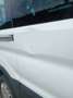 Ford Transit Bus Ford Transit custom Trend Rollsthultransporter - thumbnail 16