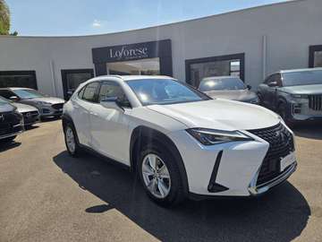 UX 250h 2.0 Business 2wd cvt my20
