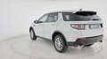 Land Rover Discovery Sport 2.0 TD4 150 CV Pure Weiß - thumbnail 5