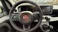 Fiat Panda Firefly Hybrid 70 Pandina Cross Schwarz - thumbnail 13