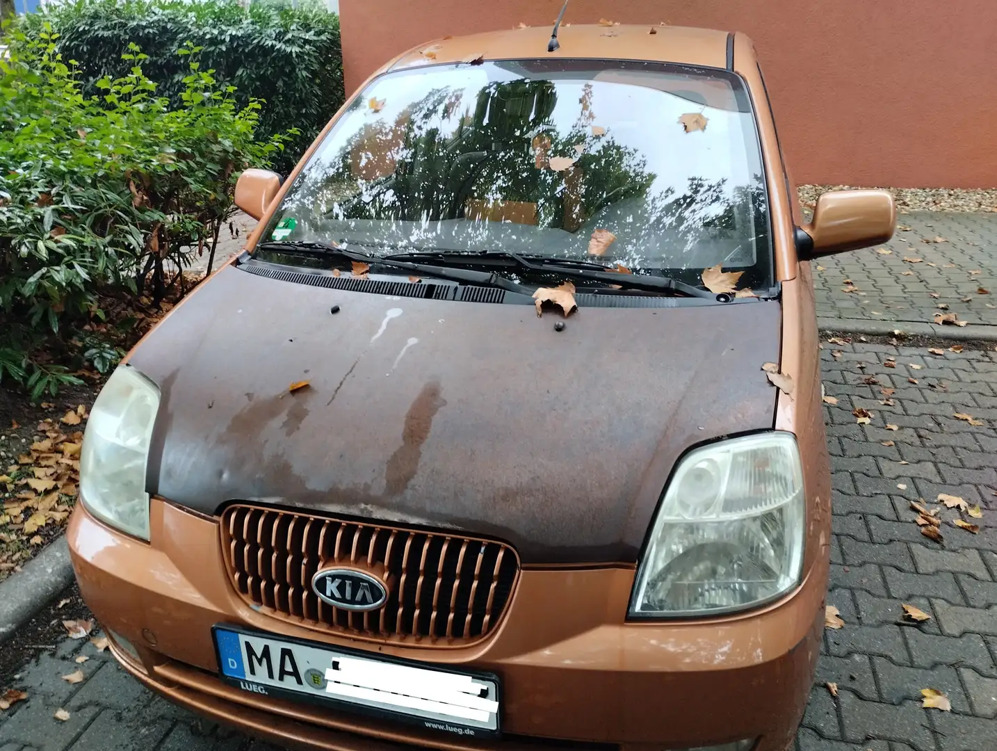 Kia Picanto Picanto 1.1 LX Orange - 1