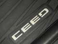 Kia Ceed SW / cee'd SW Sportswagon 1.5 T-GDi 160 pk DynamicLine, achterui Gris - thumbnail 34