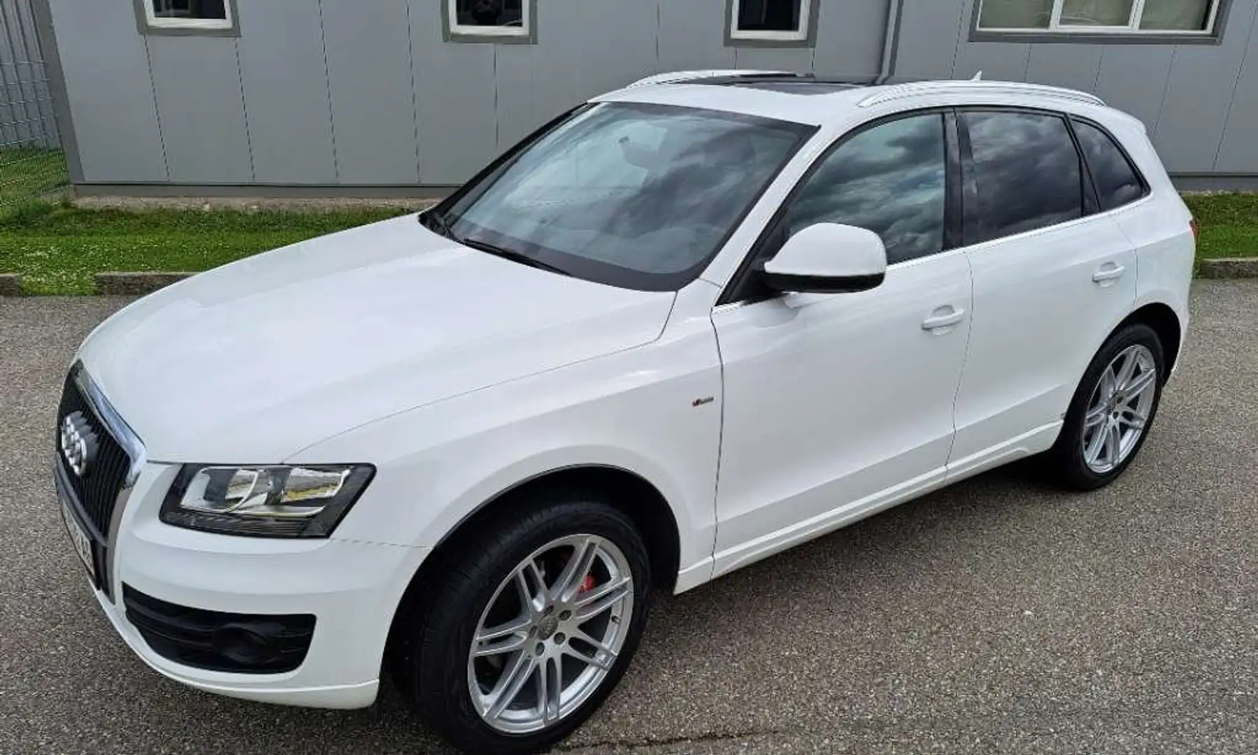 Audi Q5 2,0 TDI quattro DPF S-LINE Weiß - 1