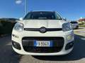 Fiat Panda Panda 1.2 Lounge easypower Gpl 69cv my19 Bianco - thumbnail 2