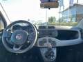 Fiat Panda Panda 1.2 Lounge easypower Gpl 69cv my19 Bianco - thumbnail 8