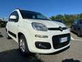 Fiat Panda Panda 1.2 Lounge easypower Gpl 69cv my19 Bianco - thumbnail 4