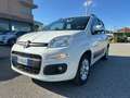 Fiat Panda Panda 1.2 Lounge easypower Gpl 69cv my19 Bianco - thumbnail 3