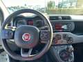Fiat Panda Panda 1.2 Lounge easypower Gpl 69cv my19 Bianco - thumbnail 9