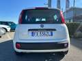 Fiat Panda Panda 1.2 Lounge easypower Gpl 69cv my19 Bianco - thumbnail 5
