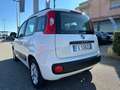 Fiat Panda Panda 1.2 Lounge easypower Gpl 69cv my19 Bianco - thumbnail 6