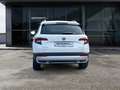 Skoda Karoq Scout 4x4 2.0 TDI Led Navi SmartLink Sitzhzg. Biały - thumbnail 4