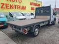 Fiat Ducato L4 PRITSCHE NETTO 12.490.- Ohne Anz. monatl. 329.- Weiß - thumbnail 5