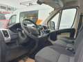 Fiat Ducato L4 PRITSCHE NETTO 12.490.- Ohne Anz. monatl. 329.- Weiß - thumbnail 6