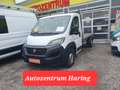 Fiat Ducato L4 PRITSCHE NETTO 12.490.- Ohne Anz. monatl. 329.- Weiß - thumbnail 1