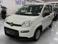 Fiat Panda Panda 1.0 firefly hybrid s Blanc - thumbnail 2