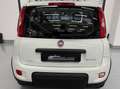 Fiat Panda Panda 1.0 firefly hybrid s Blanc - thumbnail 13