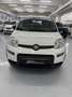 Fiat Panda Panda 1.0 firefly hybrid s Blanc - thumbnail 8