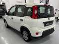 Fiat Panda Panda 1.0 firefly hybrid s Blanc - thumbnail 12