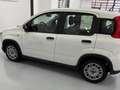 Fiat Panda Panda 1.0 firefly hybrid s Blanc - thumbnail 14