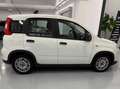 Fiat Panda Panda 1.0 firefly hybrid s Blanc - thumbnail 3