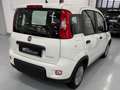 Fiat Panda Panda 1.0 firefly hybrid s Blanc - thumbnail 11