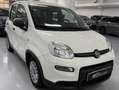 Fiat Panda Panda 1.0 firefly hybrid s Blanc - thumbnail 1
