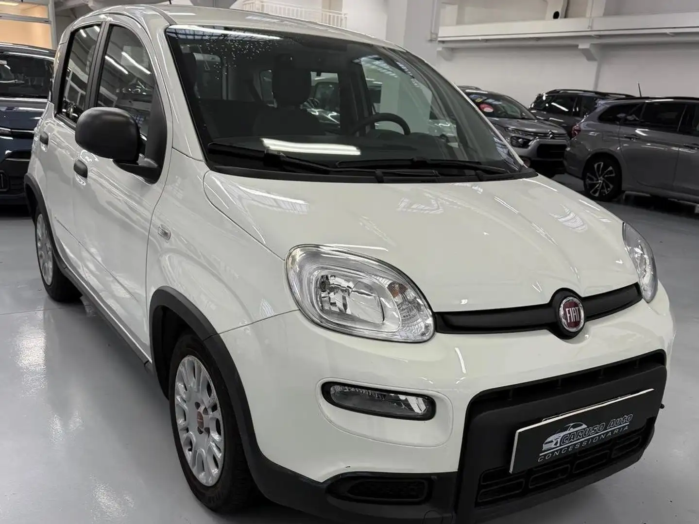 Fiat Panda Panda 1.0 firefly hybrid s Blanc - 1