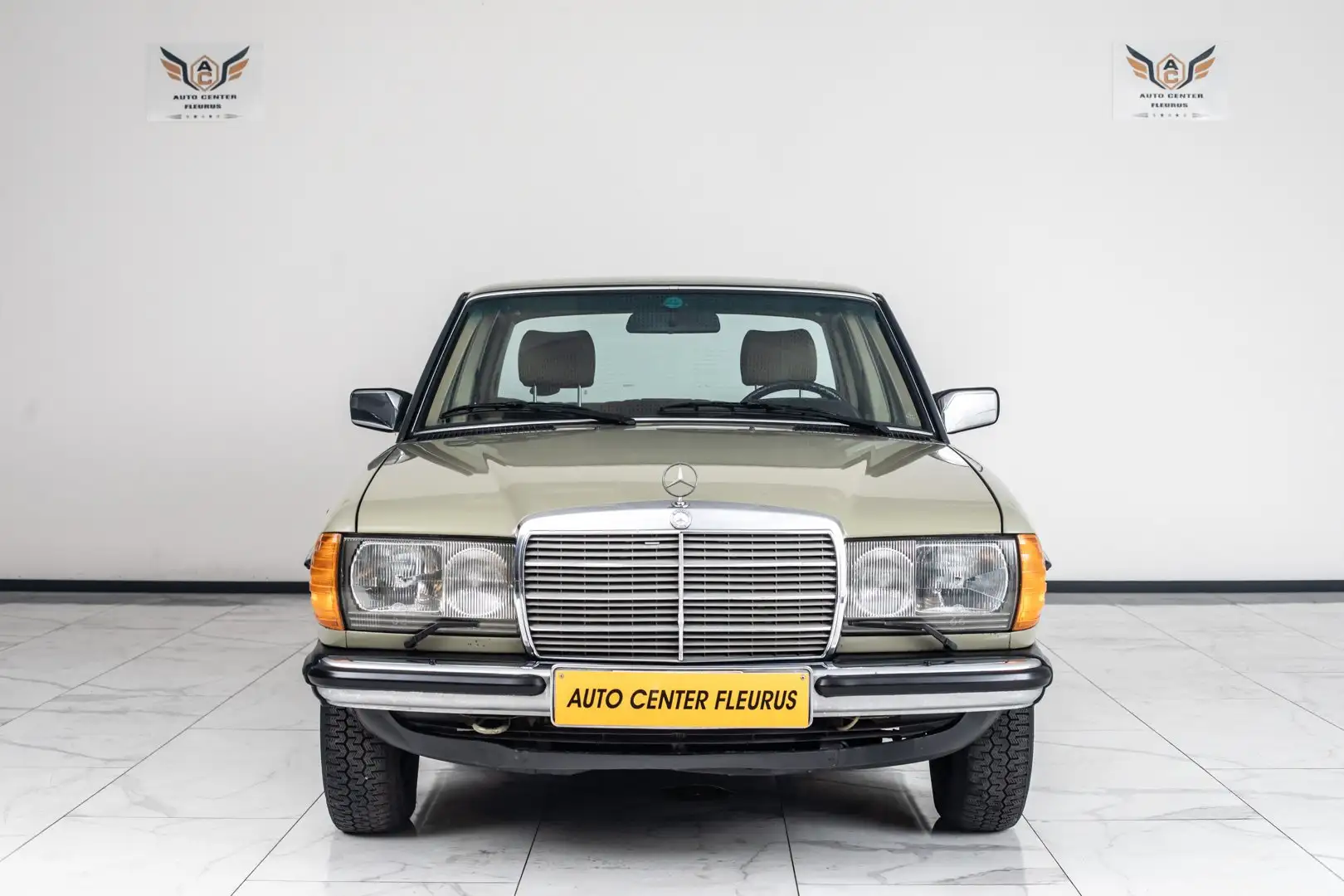 Mercedes-Benz 300 D W123 Verde - 2