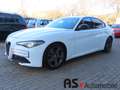 Alfa Romeo Giulia Super 2.2 JTDM Sportp.*Navi*Kamera*Bi-Xen White - thumbnail 3