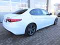 Alfa Romeo Giulia Super 2.2 JTDM Sportp.*Navi*Kamera*Bi-Xen White - thumbnail 6