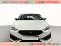 CUPRA Leon 2.0 tdi 150cv dsg Bianco - thumbnail 3
